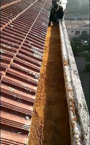 案例展示